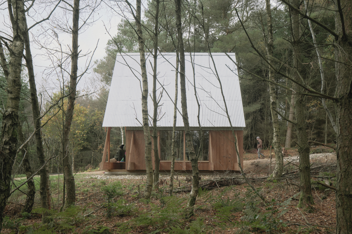 Experimental timber structure, Clearfell House, nestled among trees, showcasing innovative use of British timber species.