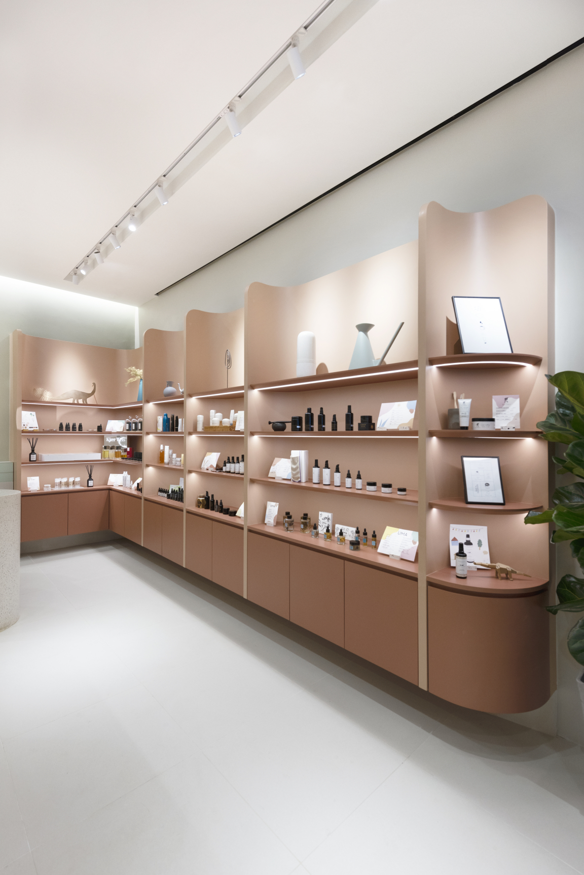 Bean Buro - Retail - Beautysaur Organics.