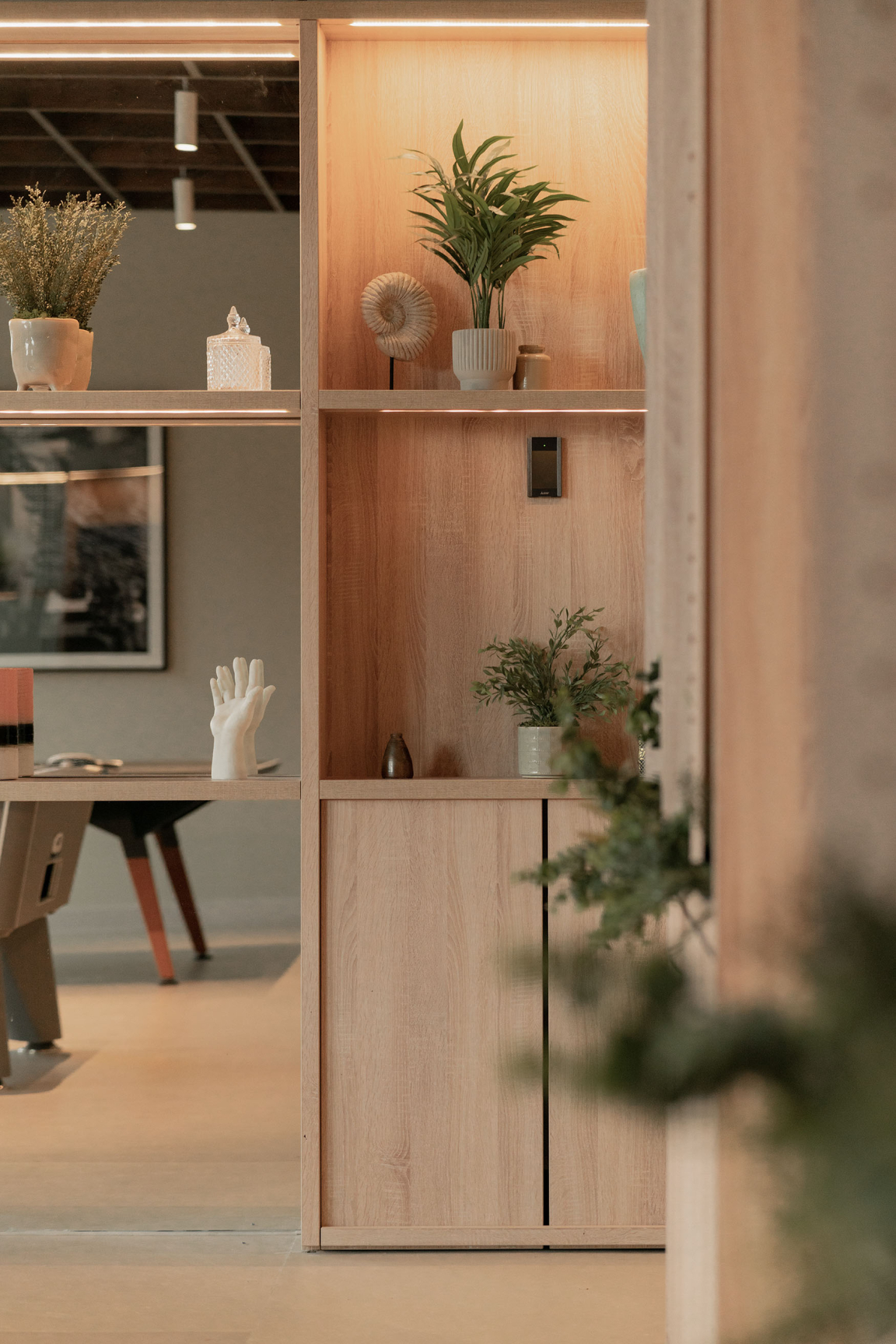 Sophisticated wooden shelving featuring decorative plants and curated objects in a modern interior design setting.