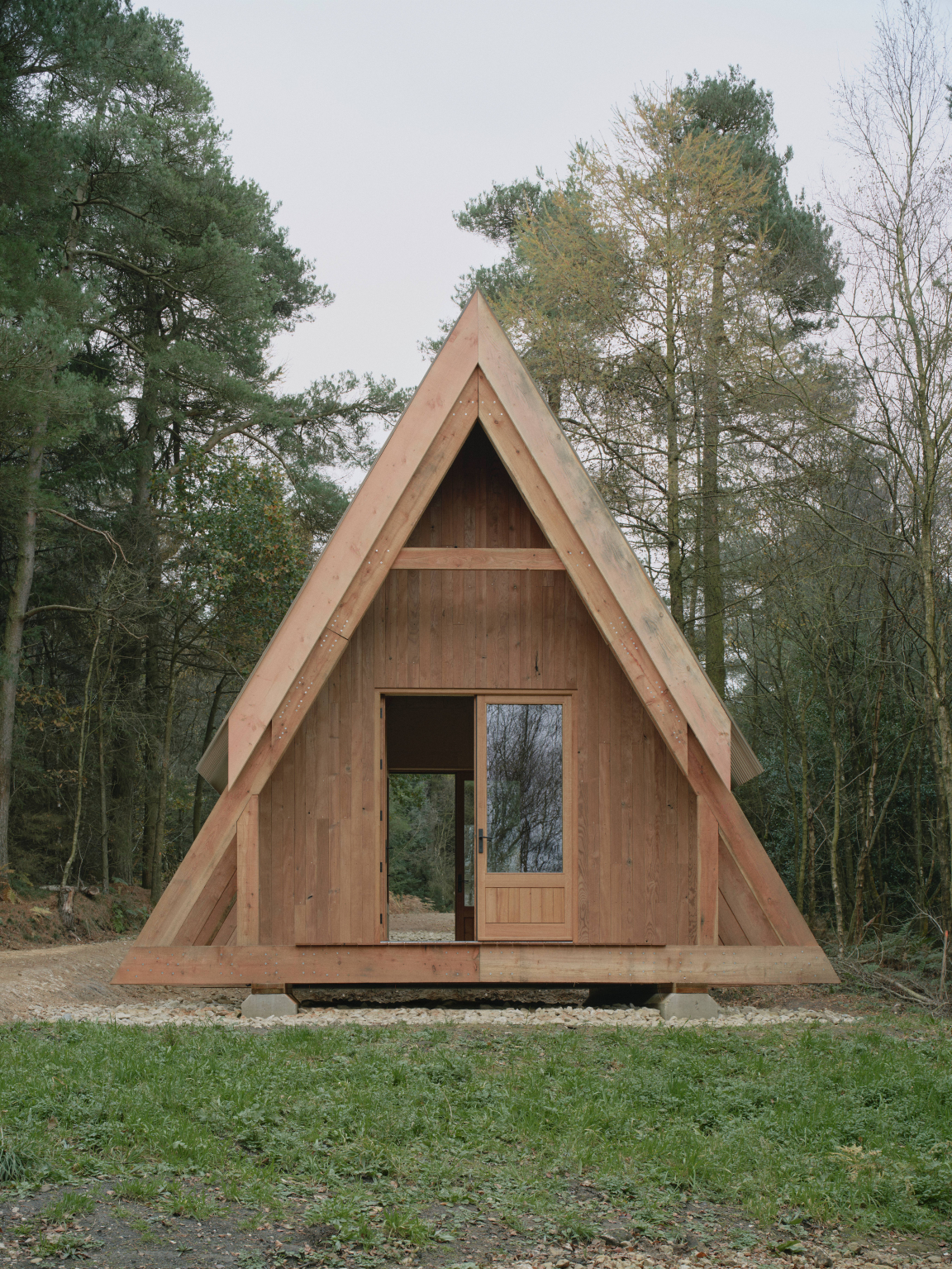 Clearfell House, an innovative timber structure, showcasing underutilized British timber species amidst a natural forest setting.