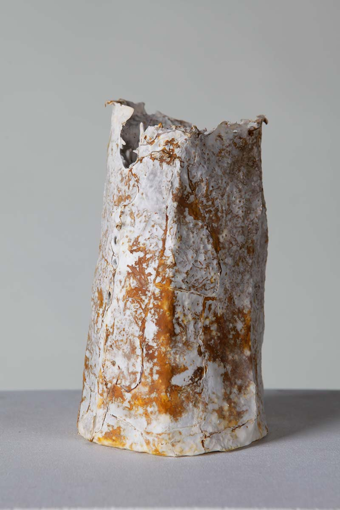 Surrey: Mycelium sculpture grown from reishi millet grain spawn, eucalyptus paper, wheat bran, and yellow clay dug up from Cranleigh, in Surrey.