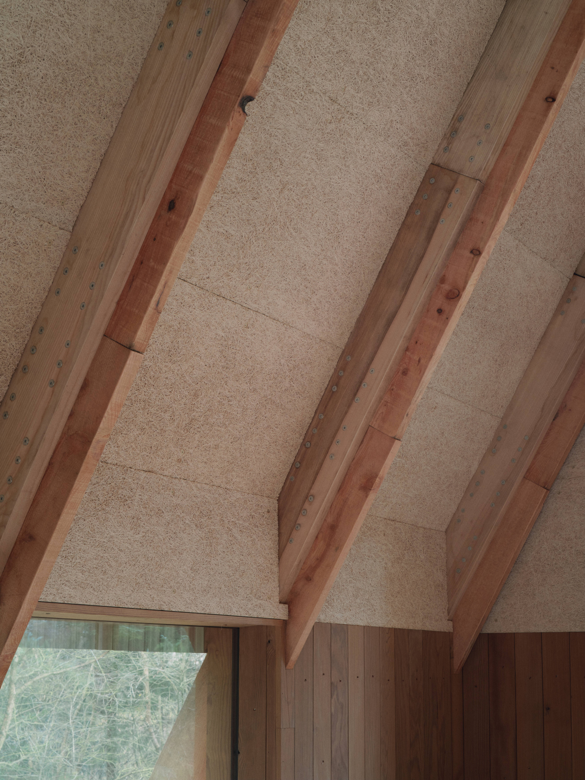 Interior view of Clearfell House featuring natural timber beams and eco-friendly materials, showcasing innovative British timber design.